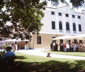 DSC 2415